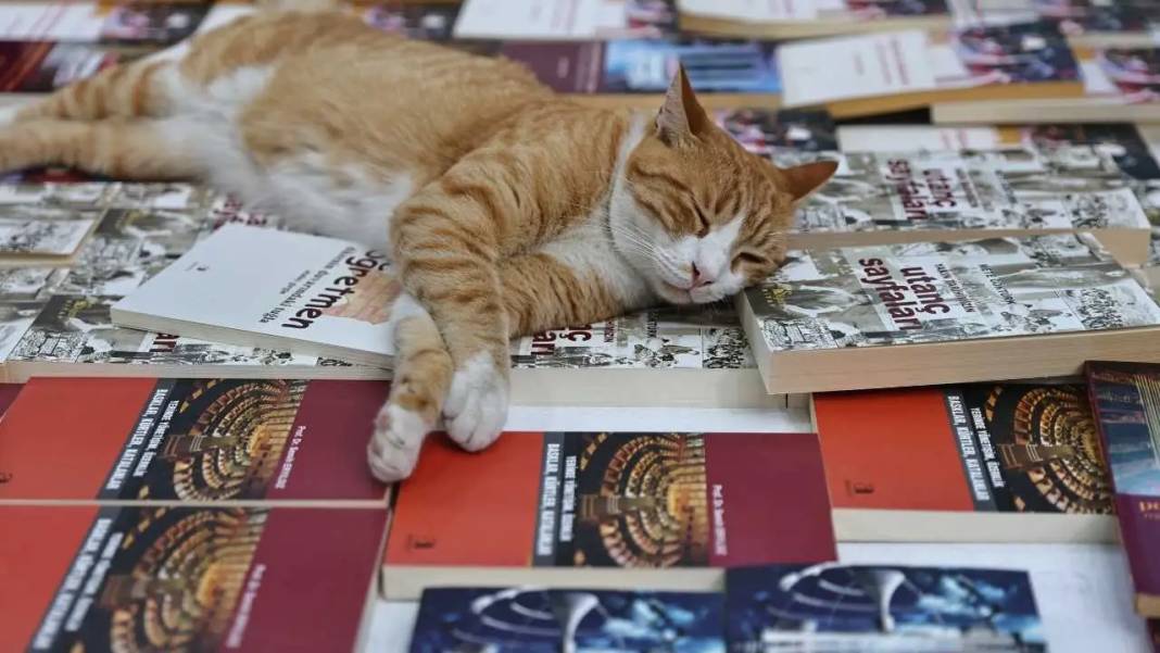 Antalya Kitap Fuarı’nda Ahmet Ümit Rüzgarı! 6